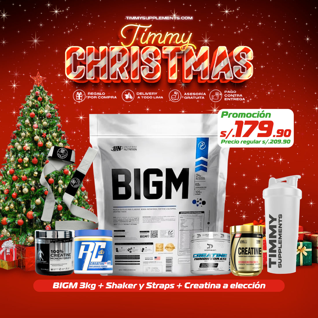 BIG - Timmy Christmas